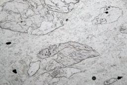 Minerals In Thin Section