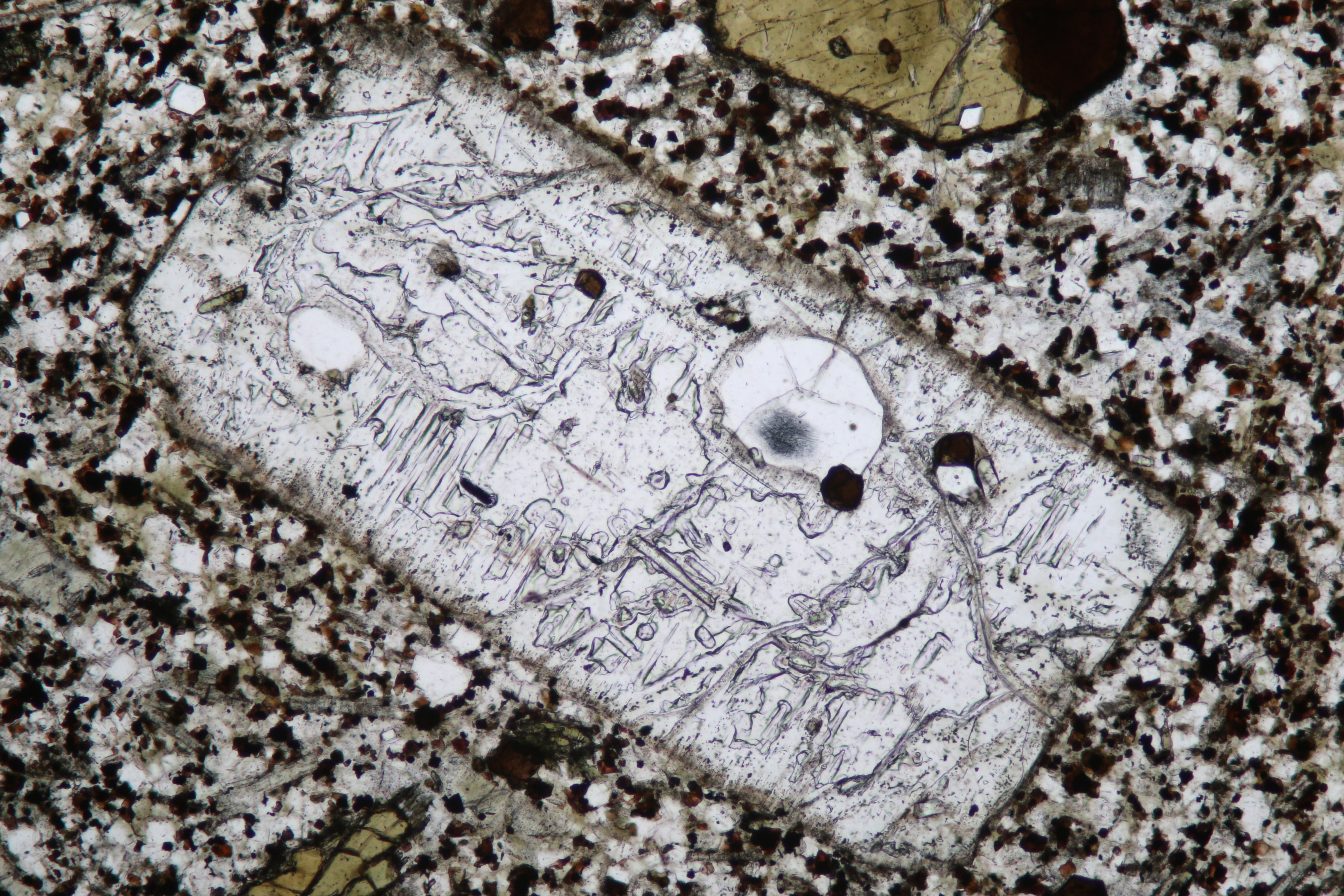 Minerals In Thin Section