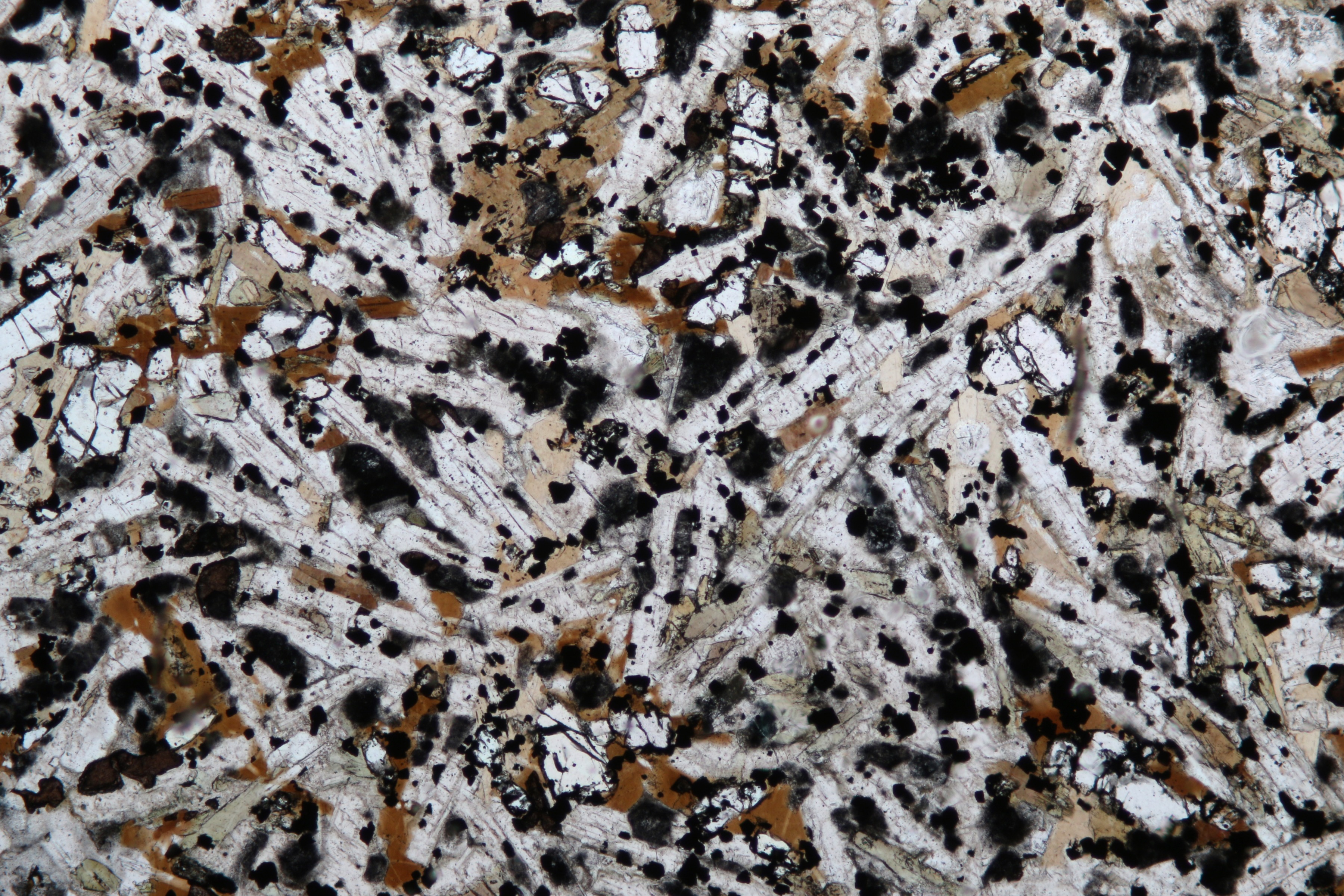 Minerals In Thin Section