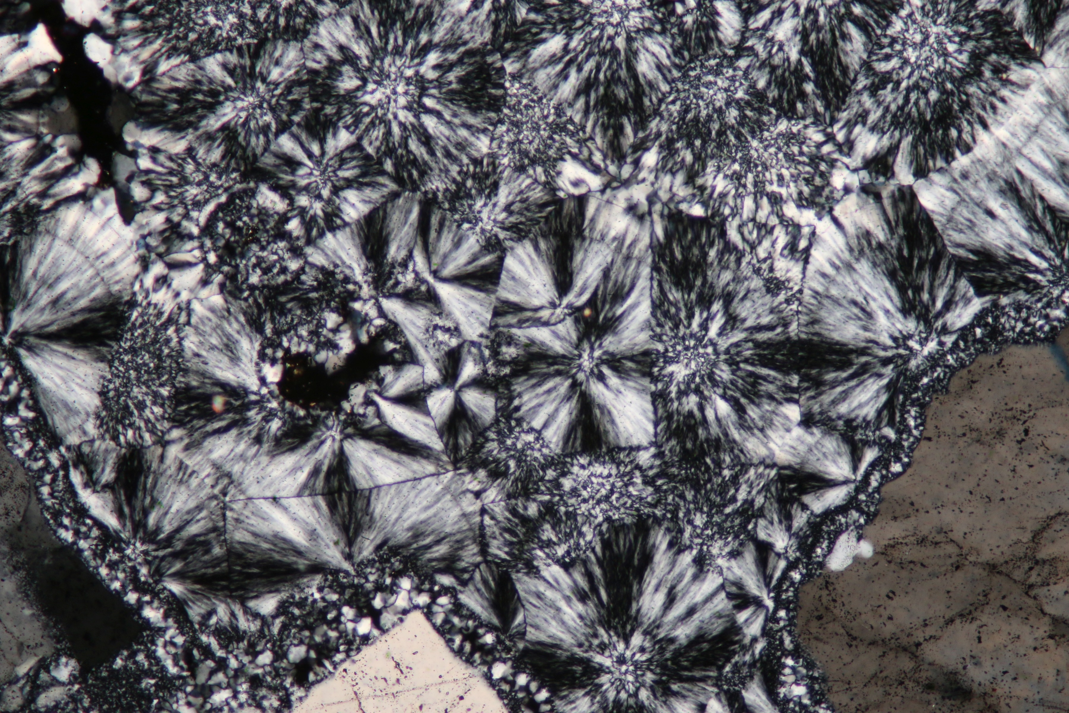 Minerals In Thin Section