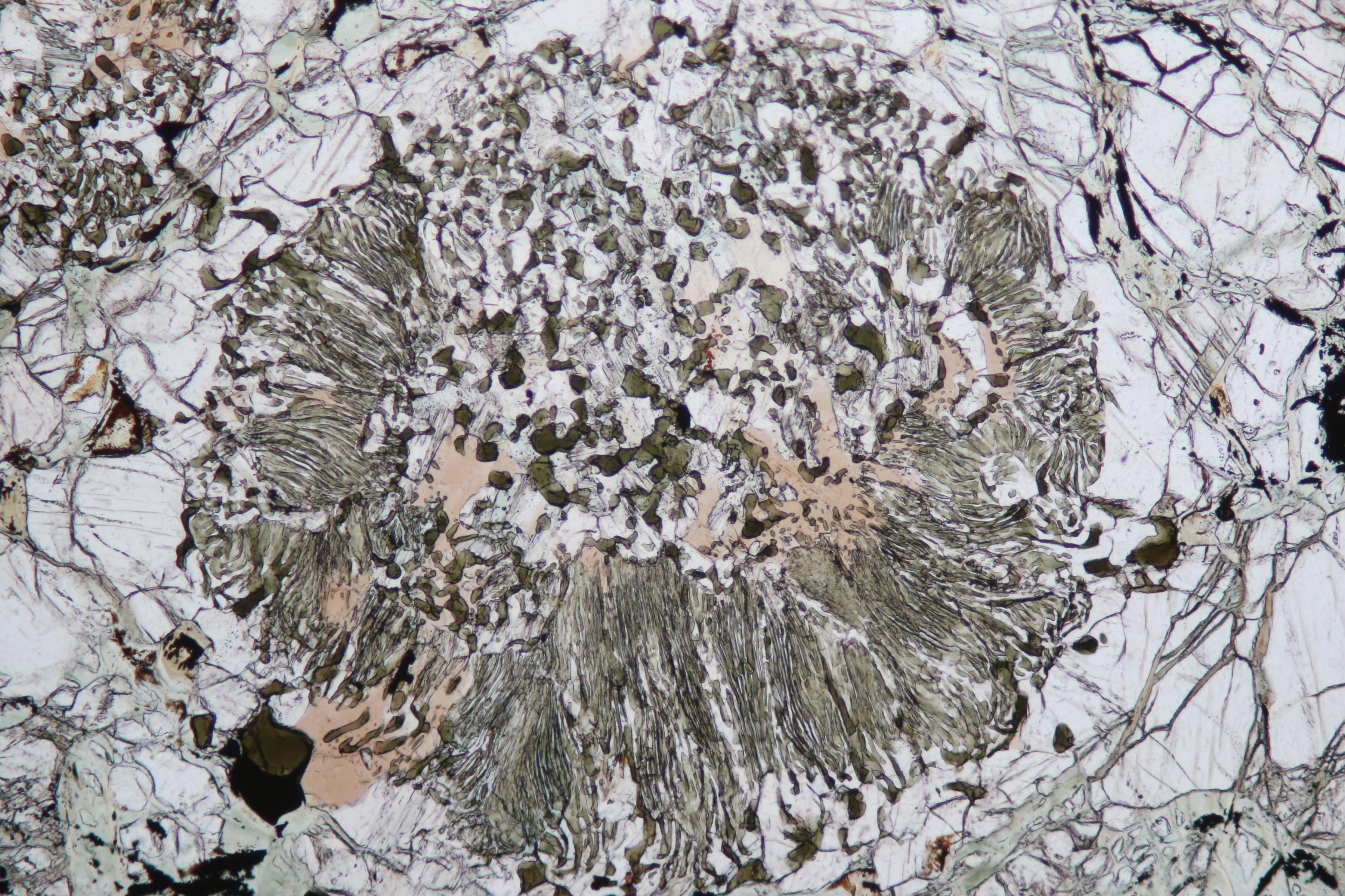 Minerals In Thin Section